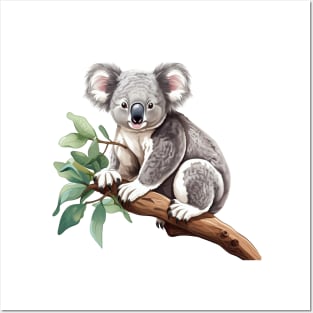 Koala In Australia Posters and Art